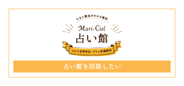 マリーシェル合同会社 占いアプリ 占い館等運営している